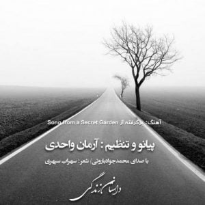 آرمان واحدی و محمد جواد باروتی - داستان زندگی